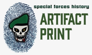 Vietnam Green Beret Flash #3480758