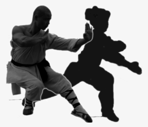 Chinese Kungfu Wushu 中国武术 #3482082