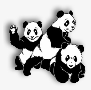 Playful Pandas Open Playtime - Open Playtime #3482103