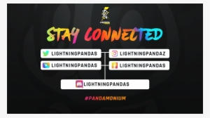 Pic - Twitter #3482270