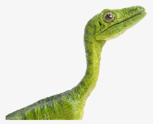 Compso - Jurassic World #3484125