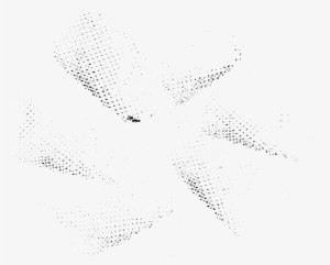 Png Texture Overlay - Bird Migration #3485426