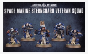 Space Marine Sternguard Veteran Squad - Space Marine Sternguard Squad #3486171