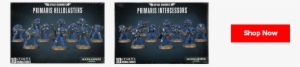With These Two Releases, We Now Have The Backbone Of - Space Marines Primaris Intercessors #3486336