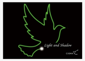 Mms Light And Shadow Magic Home Lucian Trick Kit, Green #3486827