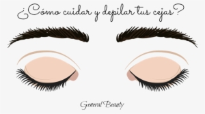 Cuidado Y Depilación De Cejas - Eyelash Extensions #3487071