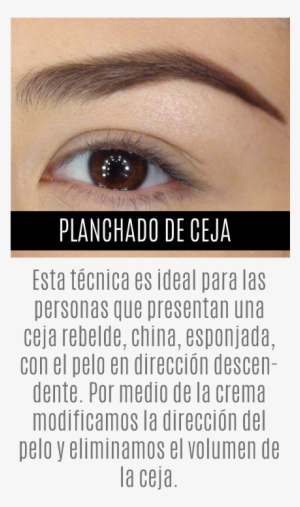 Diseño De Cejas - Design #3487493