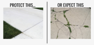 Protect - Concrete #3487600