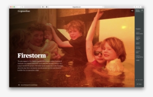 Firestorm - Dunalley Bushfire #3488639