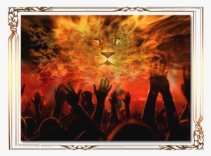 Welcome To Firestorm Ministries - Chronicles Of Narnia: The Lion, The Witch And The Wardrobe #3488660