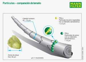 Mann Hummel Desarrolla Nuevos Filtros De Habitáculos - Mann Filter #3488897