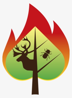 The Spades - Core Package - Ecology #3489234