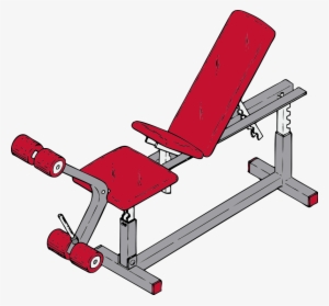 Bench Clipart Weight Lifting - Gym Equipment Clipart Png #3489365