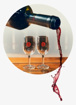 The Bar Z Tasting Room - Champagne Stemware #3489854