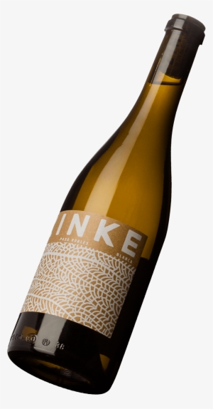 Poster: Perry's A Close View Of A Sea Fan, 16x12in. #3490499