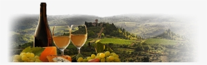 South American Wine Tasting - Tuscany #3490791