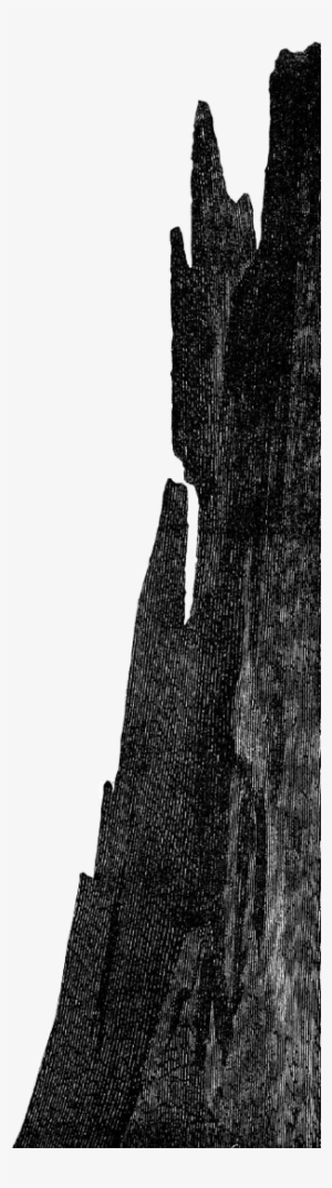 Monochrome #3490949