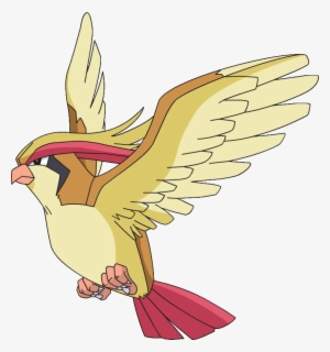 Pidgeotto Images - Pokémon #3491156