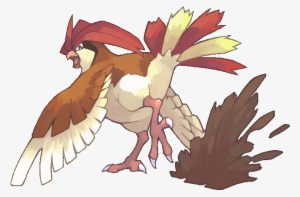 P Pidgeotto, We Are Proud Of You - ピジョン ポケモン #3491223