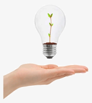 Cooking Mama Wiki - Science #3491717