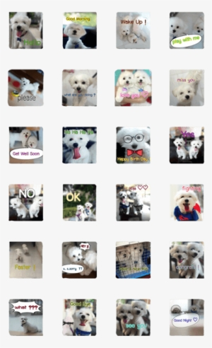 Hamster & Hamtaro - Siberian Husky #3492206