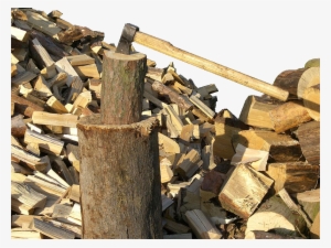 Firewood We Want Your Trees - Wood Chopping #3492960