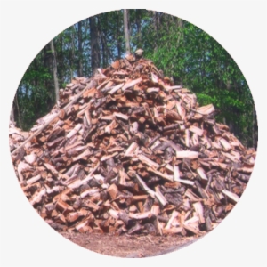 Quality Seasoned Firewood - Food #3493645