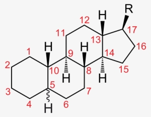 Open - Chemical Structure Of Pituitary Gland Hormone #3493774