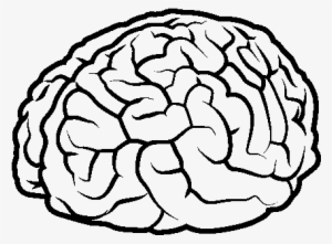 Dibujo De Cerebro Para Colorear - Cerebro Desenho #3493872