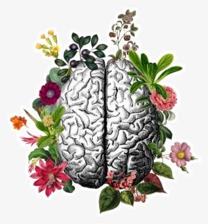 Adesivo Cérebro De Beatriz Menesesna - Poster: Naxart's Vintage Brain, 19x13in. #3494155