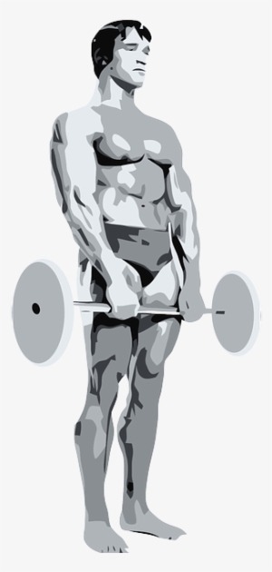 Bodybuilder #3494178 Bodybuilder #3494178