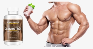 Clenbuterol Hydrochloride Are Not Officially Steroids - Rectus Abdominis Muscle #3494234