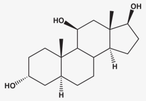 Steroids - Estrogen Chemical #3494364