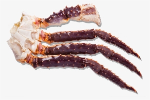 Frozen Raw King Crab Cluster - Fresh King Crab Raw #3494439