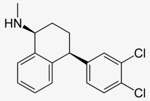 Let's Make No Bones About It - Poly Bisphenol A Carbonate #3494607