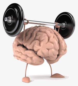 Seis Dicas Para Manter O Cérebro Sempre Jovem - Brain Power #3494626