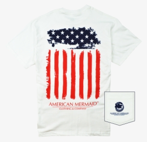 Stars & Stripes Tee - Amercian Government And Politics #3498646