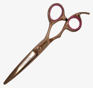 Tijeras Estilista Profesional Png #3499371 Tijeras Estilista Profesional Png #3499371