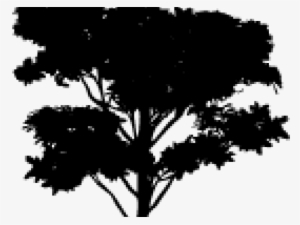 Tree Vector Png - Photoshop Trees #350089