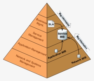Management Pyramid - Management #350187
