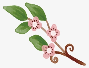 Cherry Blossom Drawing - Watercolor Painting #350519