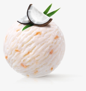 Coconut - Meringue #350771