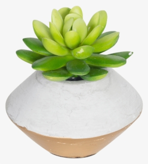 Mini Faux Succulent In Concrete Planter Gold - Succulents Transparent In Pot #351025