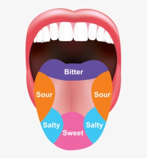 H2 Tongue - Tongue Graphic #352683