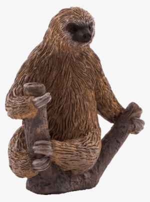 Did - Animal Planet - Two Toed Sloth #352770