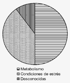 Clasificación Funcional De Las Proteínas Constantemente - Circle #352961