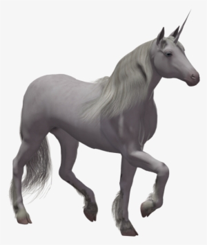 Unicorn With No Background #353224