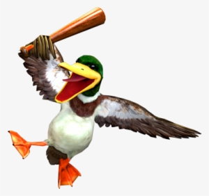 Duck - Mallard #353789