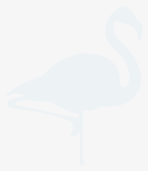Serving Southwest & Southeast Florida 979-0016 - Swan #353842
