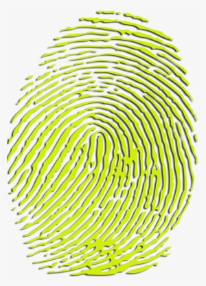 Key Specialty - Metabolomic Fingerprinting #354000